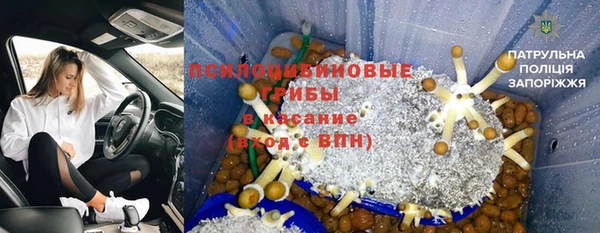 мдпв Приозерск
