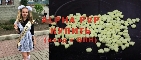 PSILOCYBIN Покачи