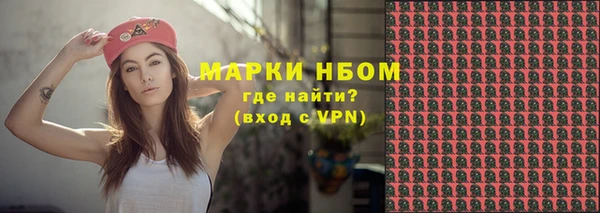 PSILOCYBIN Покачи