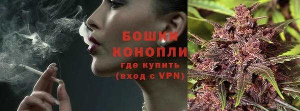 PSILOCYBIN Покачи