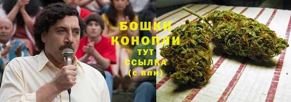 PSILOCYBIN Покачи