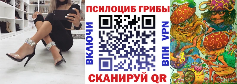 Купить где  Афипский  Псилоцибиновые грибы GOLDEN TEACHER 