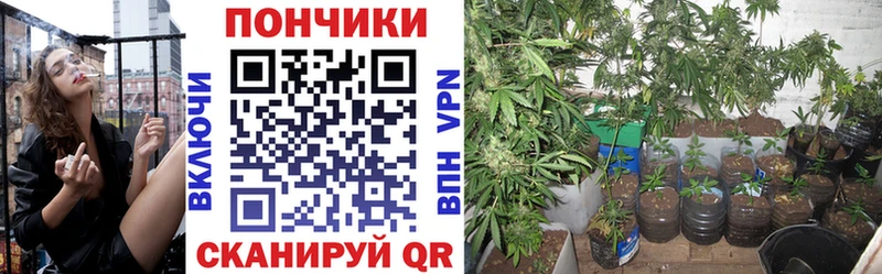 Купить закладки  Афипский  Канабис марихуана 